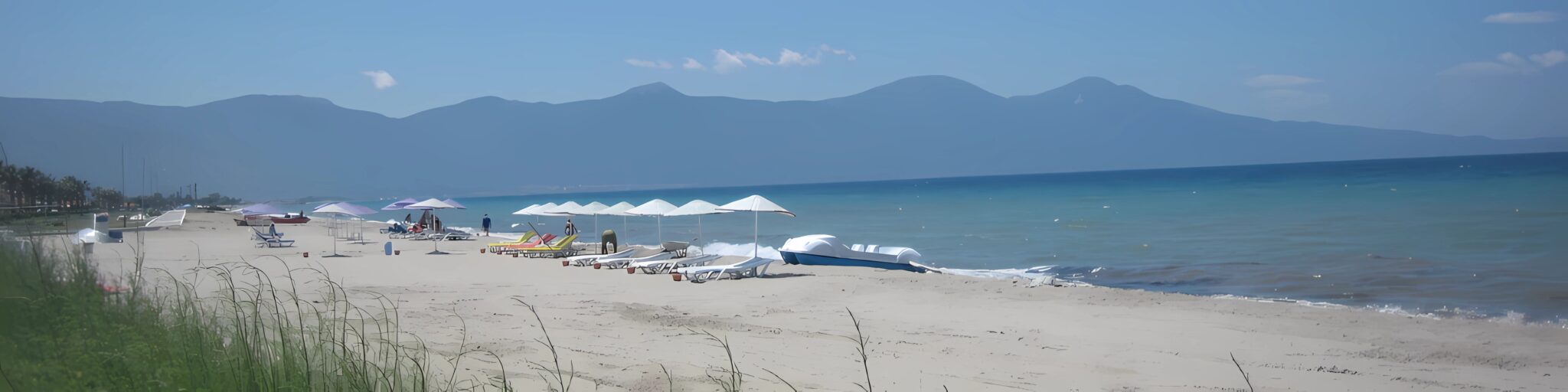 long beach groß